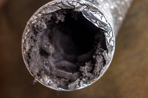 Best Best Air Duct Cleaning Company  in Meadowdale, WA